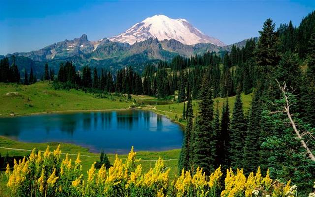 beautiful nature landscape trees mountain lake water colors energy therapy